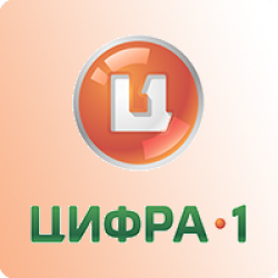 Цифра 1
